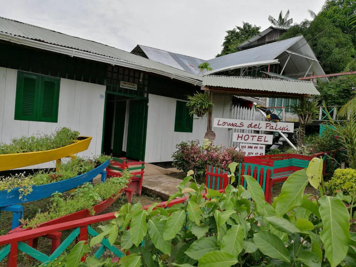 Hotel Lomas Del Paiyue Puerto Nariño Exteriör bild